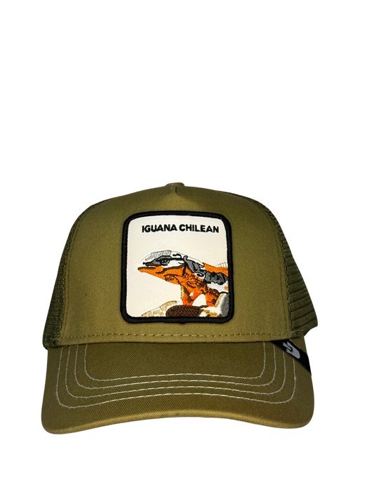 IGUANA CHILENA- Green Edition