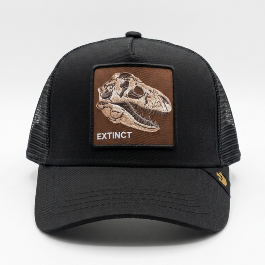 EXTINCT