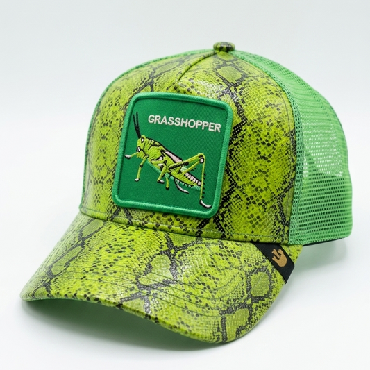 Grasshopper