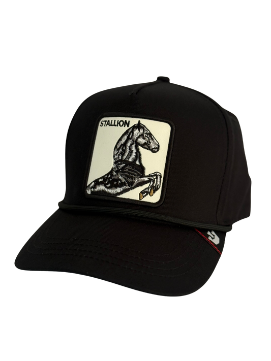 STALLION Black Edition