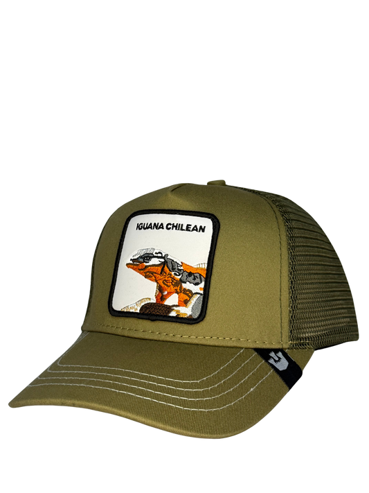 IGUANA CHILENA- Green Edition