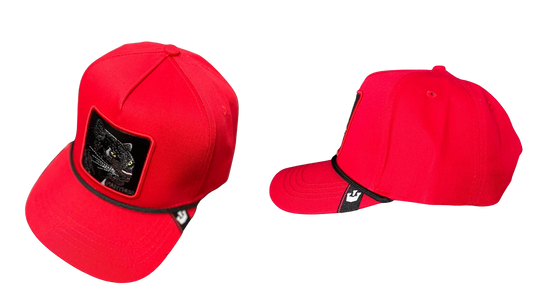 Freedom- Camouflage Eagle