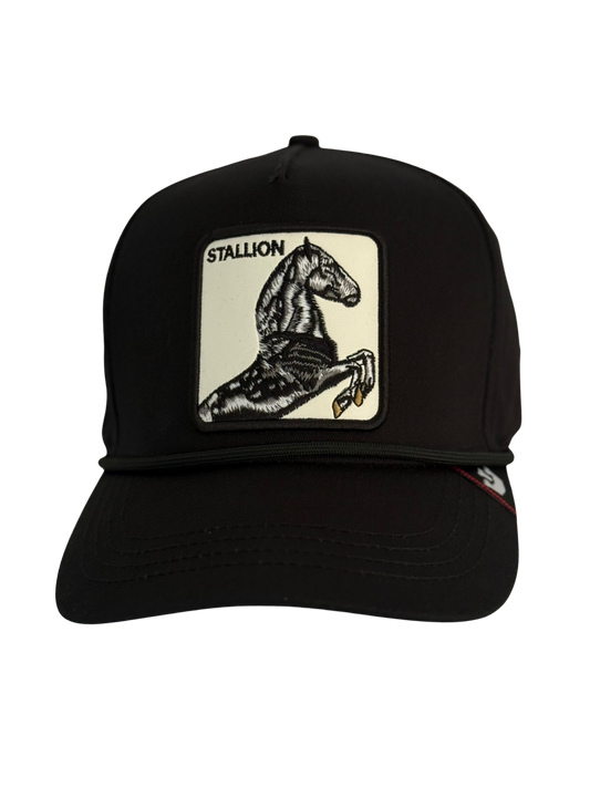 STALLION Black Edition