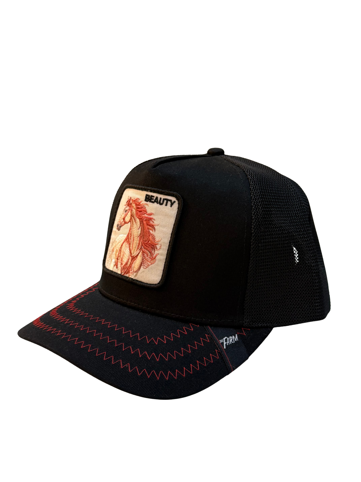 Black Stallion Beauty