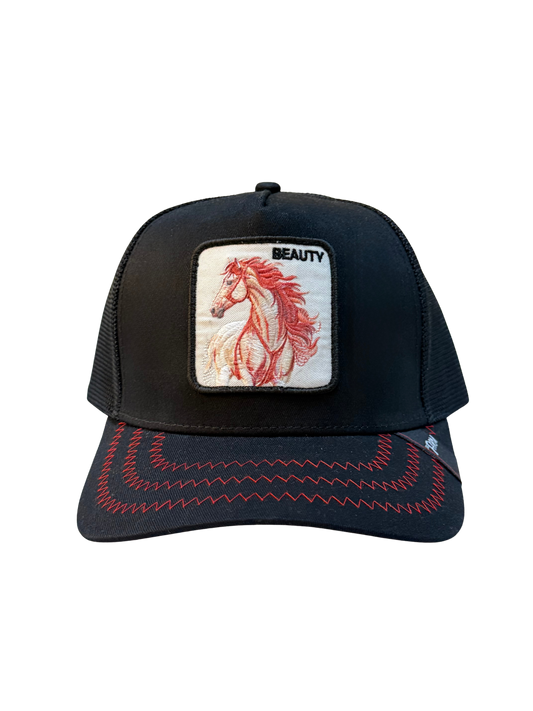 Black Stallion Beauty