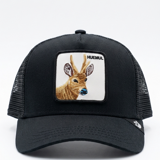 HUEMUL