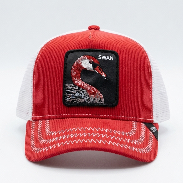 SWAN