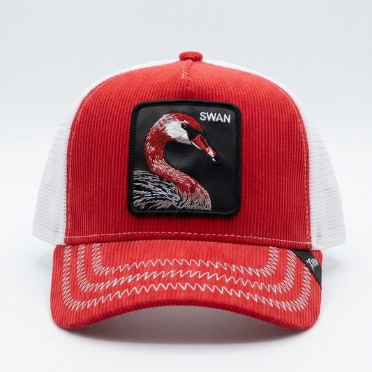SWAN