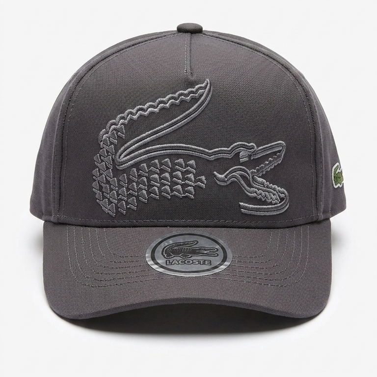 LACOSTE - Gris
